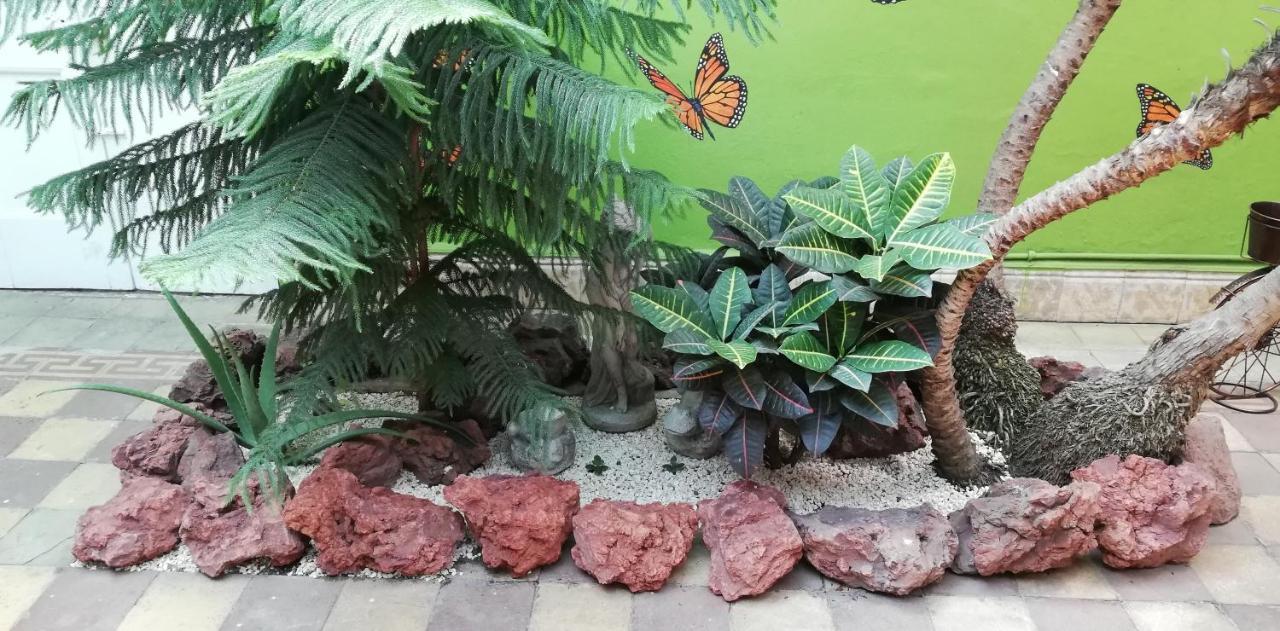 Casa Mayela Guest House San José Exteriör bild